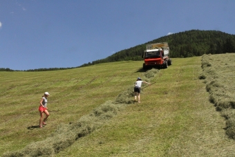 Teamtag-SBO©-VFA-37