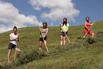 Teamtag-SBO©-VFA-90