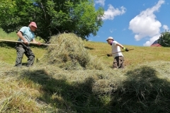 Gruppeneinsatz Suedtiroler Landwirt 2020