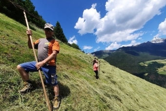 Gruppe-Edelweiss_23.6.23-2