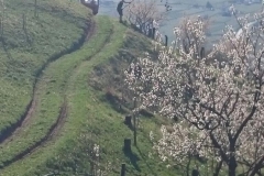 Gruppo SBJ Dobbiaco 2018