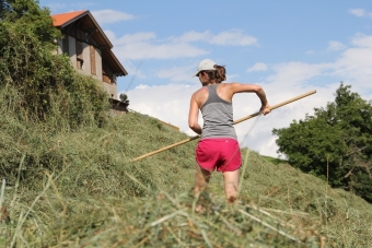Wanitschek-Kerstin_Unterrain-14