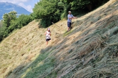 Interventi di gruppo Unione Agricoltori sudtirolo