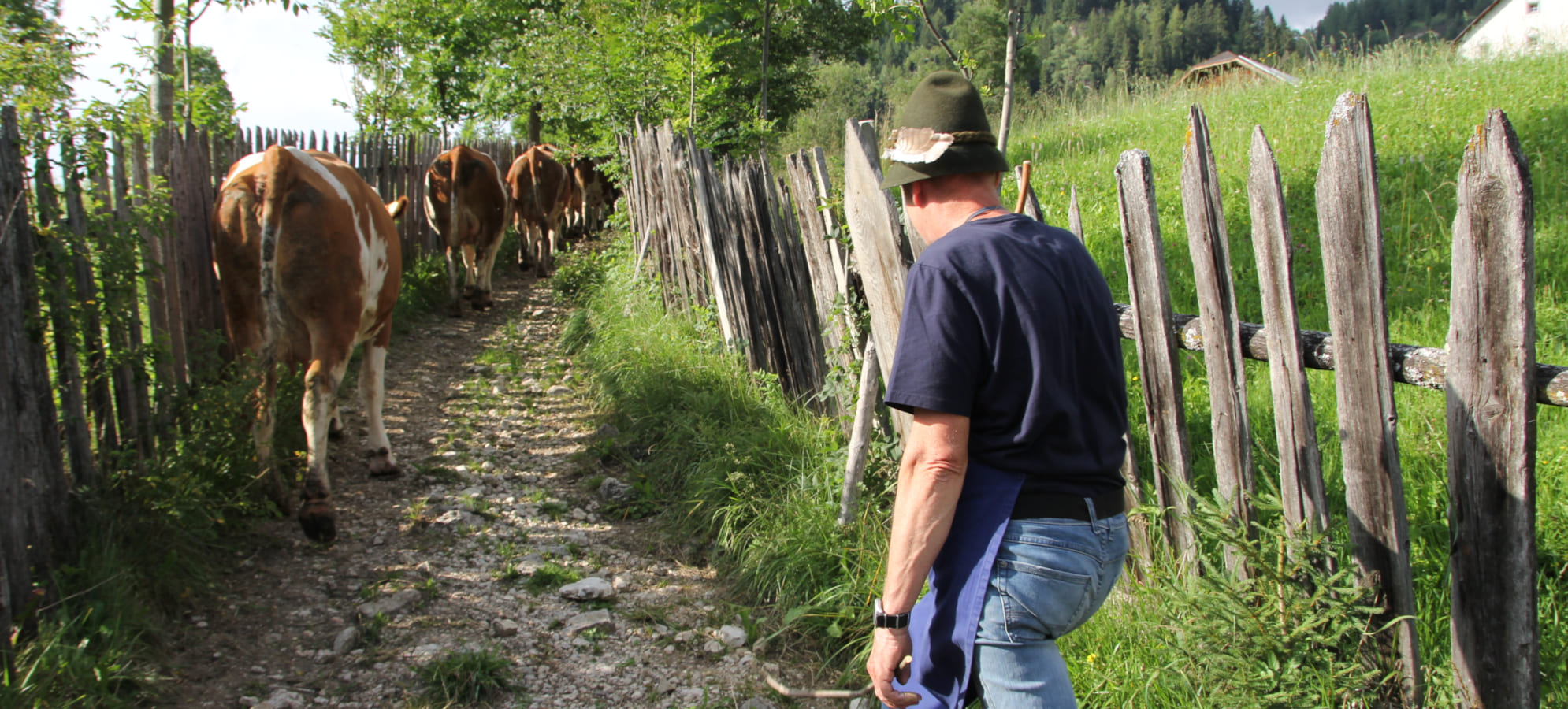 Hilfe für Bergbauern in Südtirol: Freiwillige bei der traditionellen Heuernte auf Almwiesen